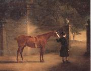 John Ferneley, Mr Wombell's Hunter with a Groom in a Courtyard